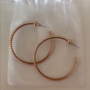Rose Gold Hoops